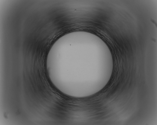 X0000091950604200709061041