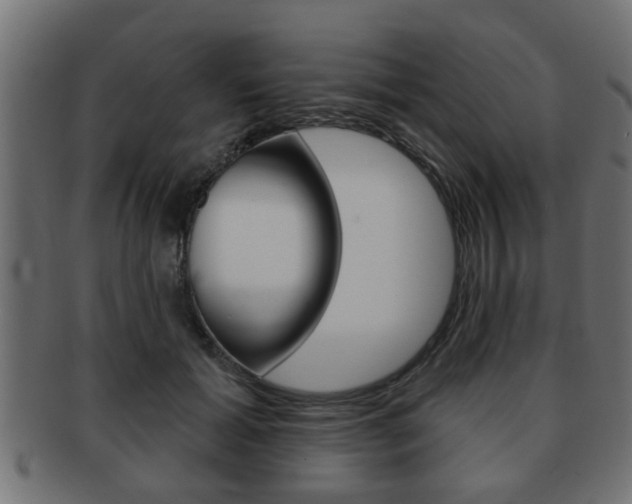 X0000091950605200709061041