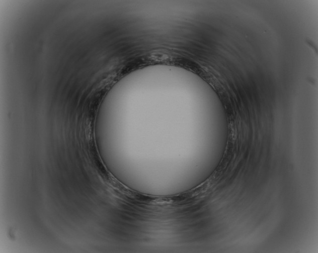 X0000091950606200709061041