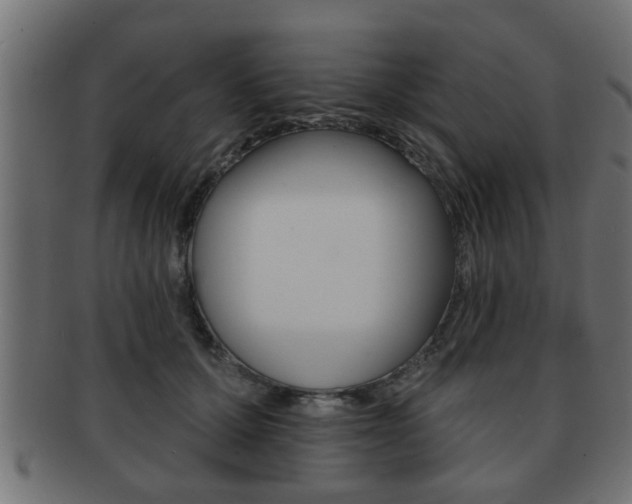 X0000091950607200709061041