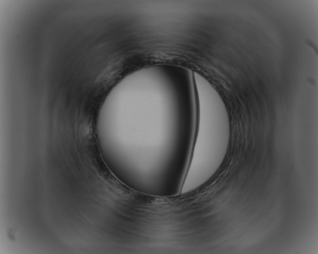 X0000091950608200709061041