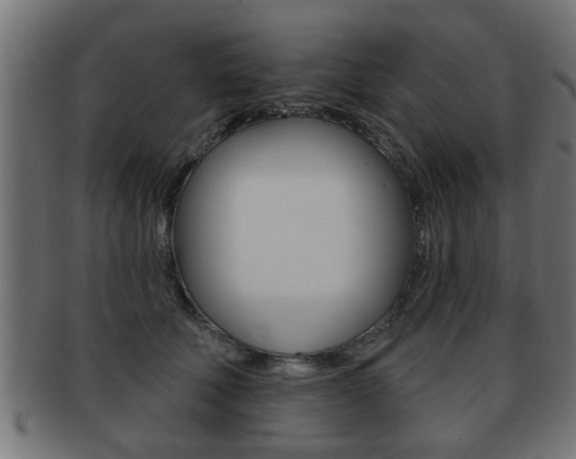 X0000091950610200709061041