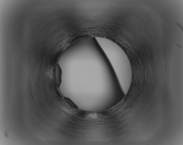 X0000091950611200709061041