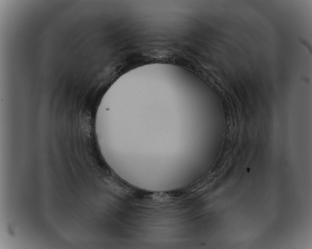 X0000091950612200709061041