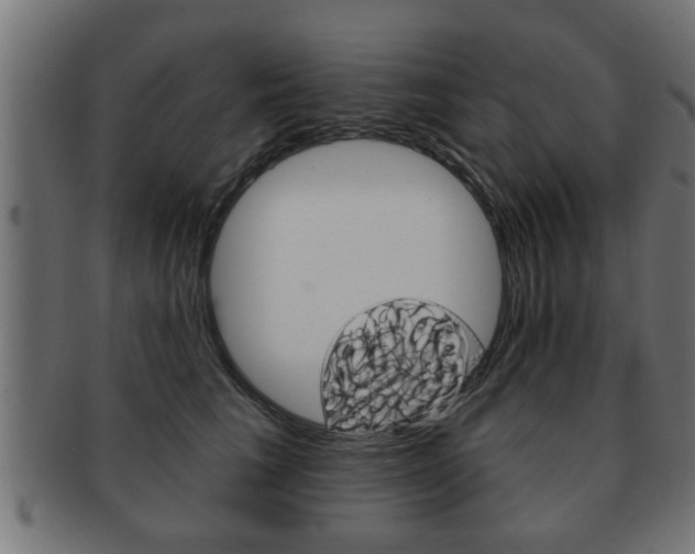 X0000091950613200709061041