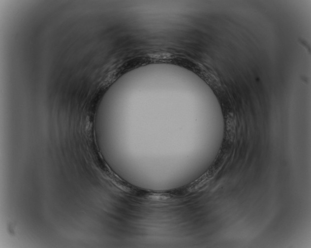 X0000091950614200709061041