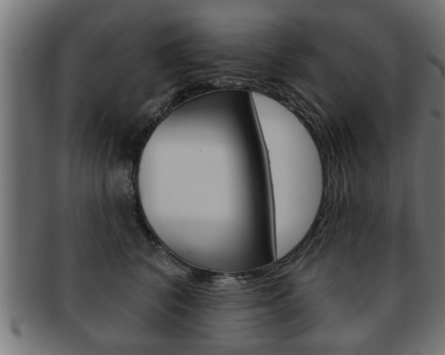 X0000091950616200709061041