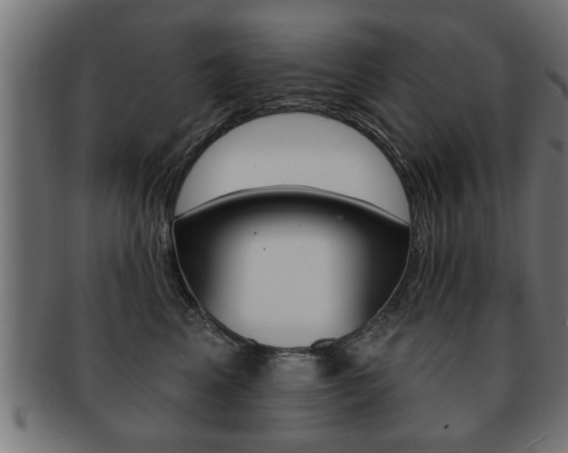 X0000091950617200709061041