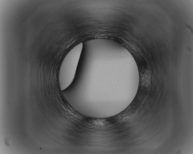 X0000091950618200709061041