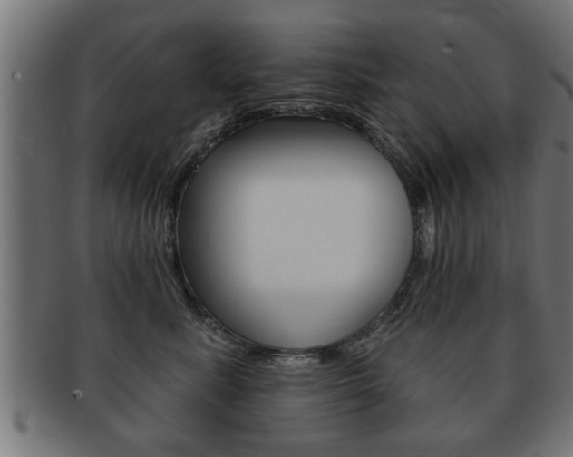 X0000091950619200709061041