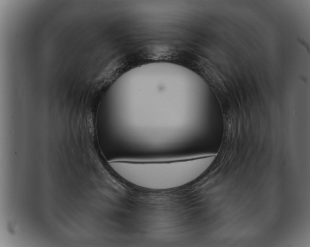X0000091950620200709061041