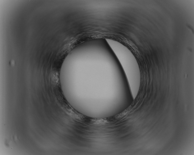 X0000091950621200709061041