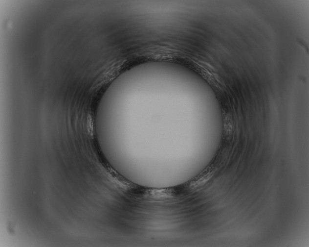 X0000091950622200709061041