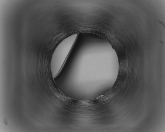 X0000091950623200709061041