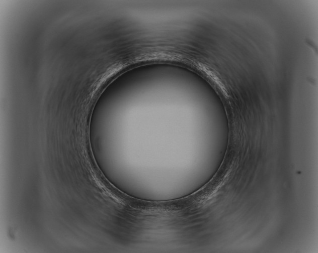 X0000091950625200709061040