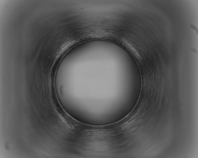 X0000091950626200709061040
