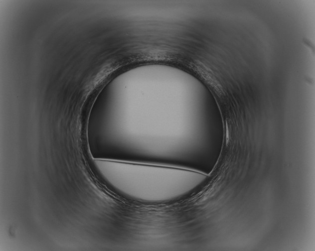 X0000091950627200709061040