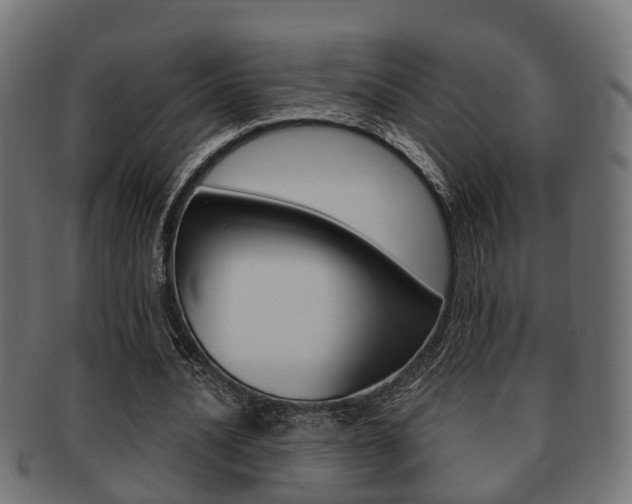 X0000091950628200709061040