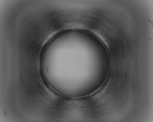 X0000091950629200709061040