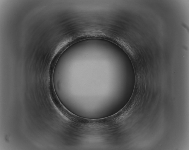 X0000091950630200709061040