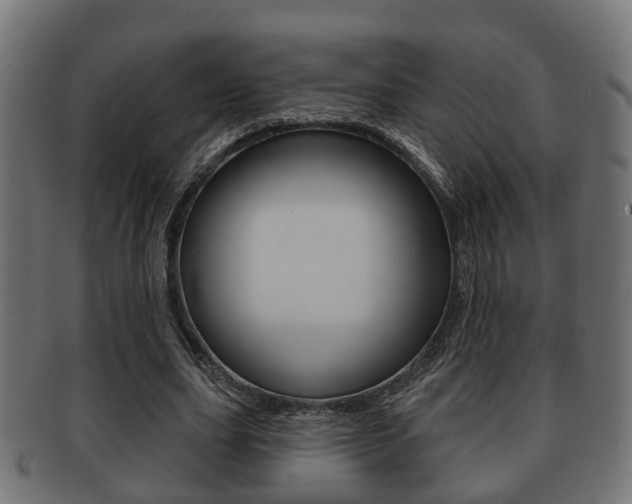 X0000091950631200709061040