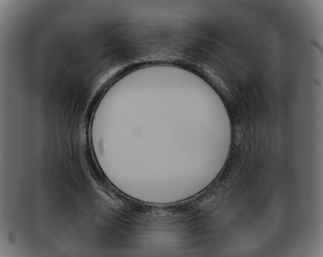X0000091950632200709061040