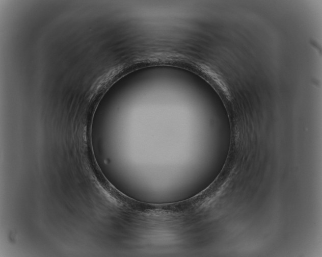 X0000091950633200709061040