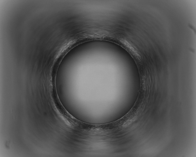 X0000091950634200709061040