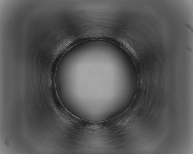 X0000091950635200709061040