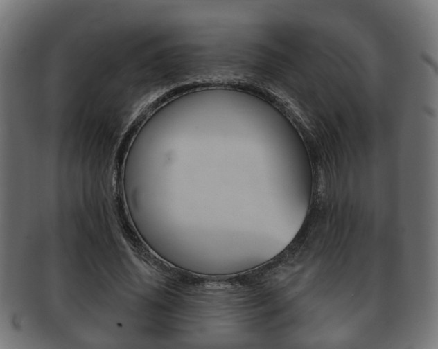X0000091950636200709061040