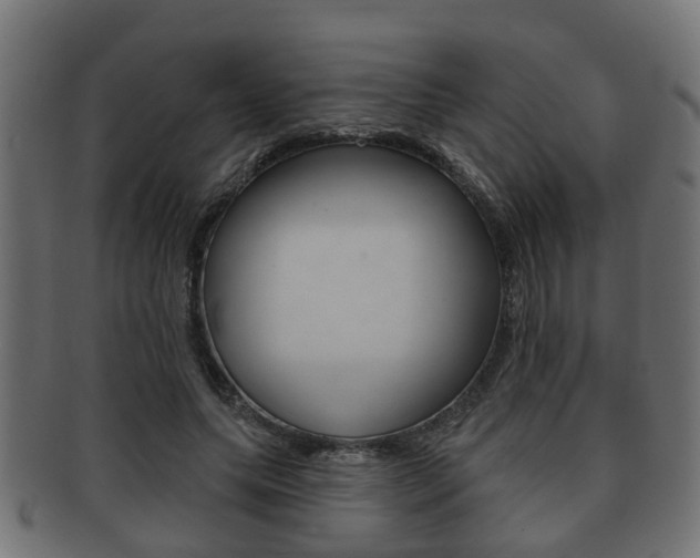 X0000091950639200709061040