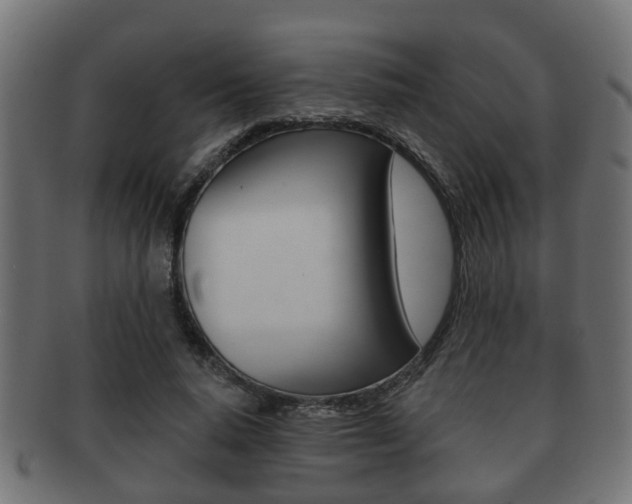 X0000091950640200709061040