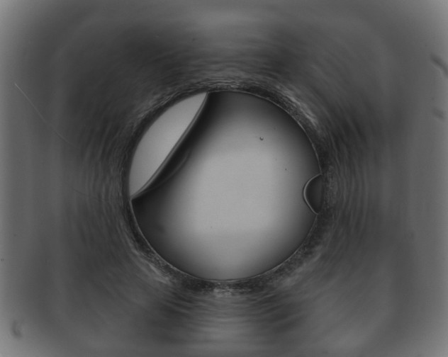 X0000091950641200709061040