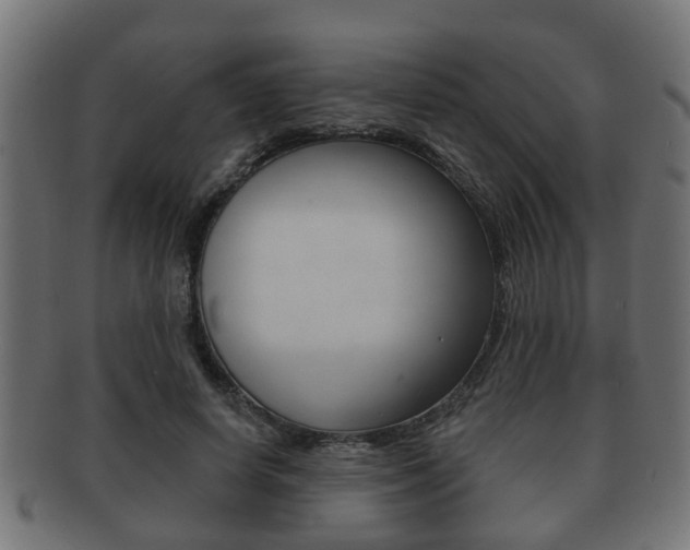 X0000091950642200709061040