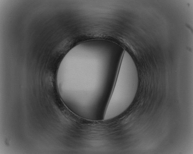X0000091950643200709061040