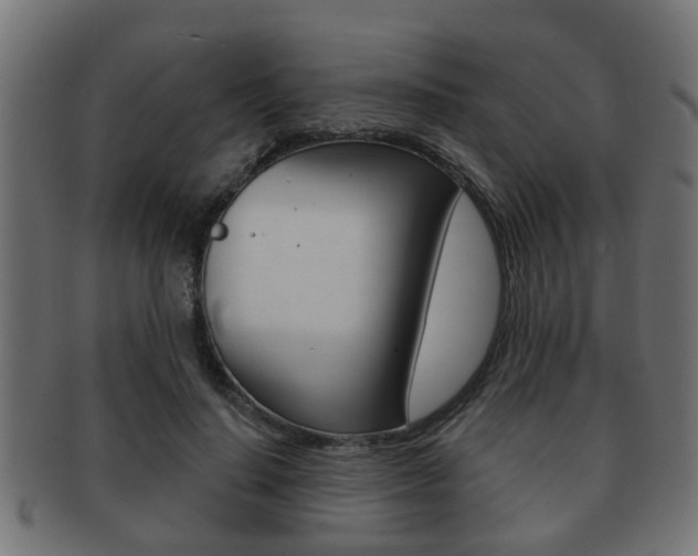 X0000091950644200709061040
