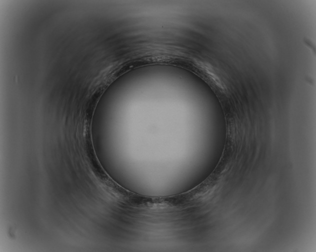 X0000091950645200709061040