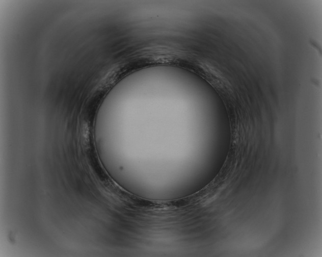 X0000091950646200709061040