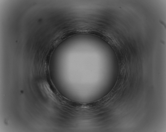 X0000091950647200709061040