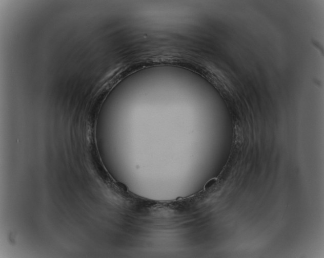 X0000091950648200709061040