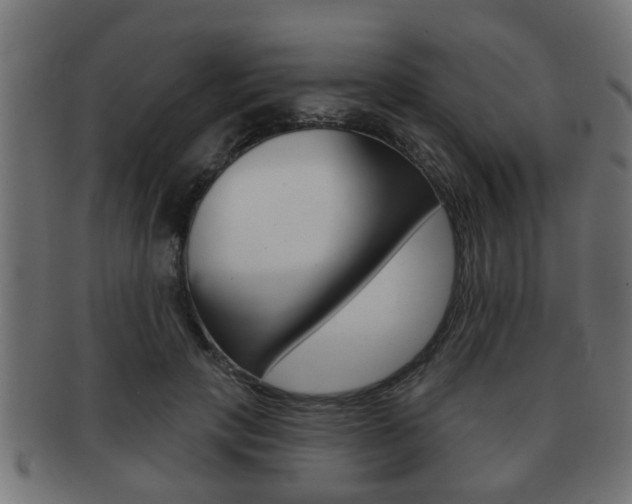 X0000091950649200709061040