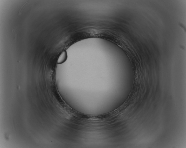 X0000091950650200709061040