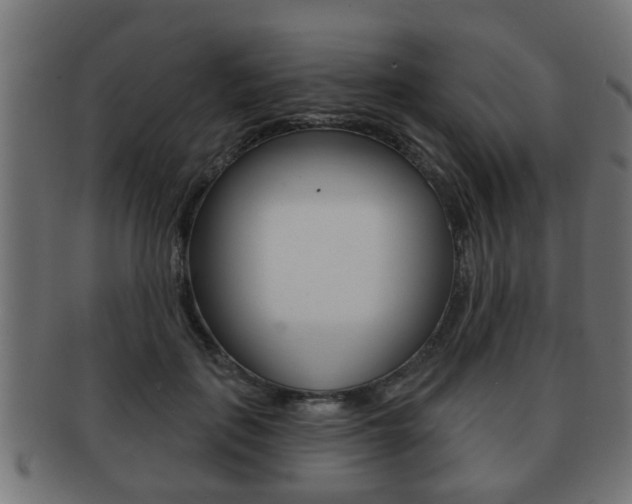 X0000091950651200709061040