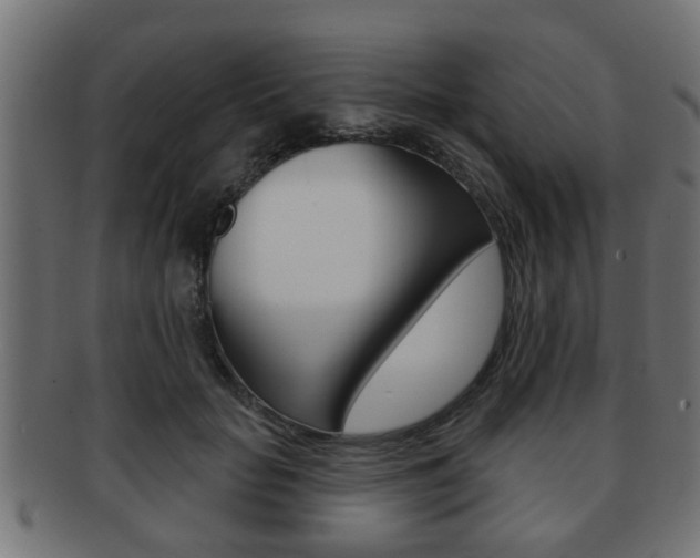X0000091950653200709061040