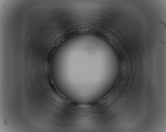 X0000091950654200709061040