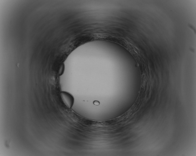 X0000091950655200709061040