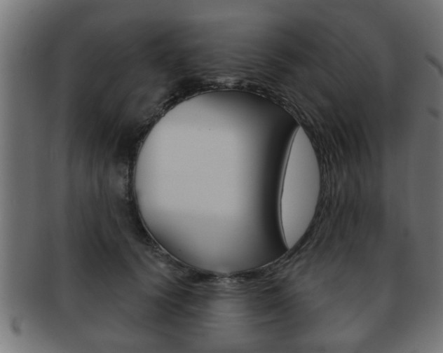 X0000091950656200709061040