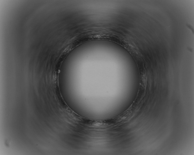 X0000091950657200709061040