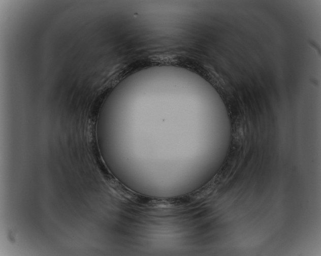 X0000091950658200709061040