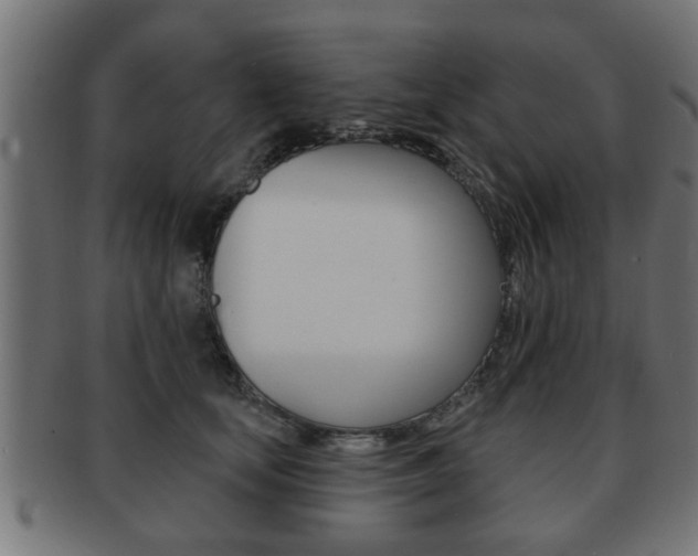 X0000091950659200709061040